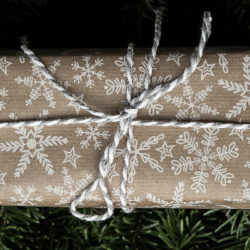 Cadeau Écolo de Noël