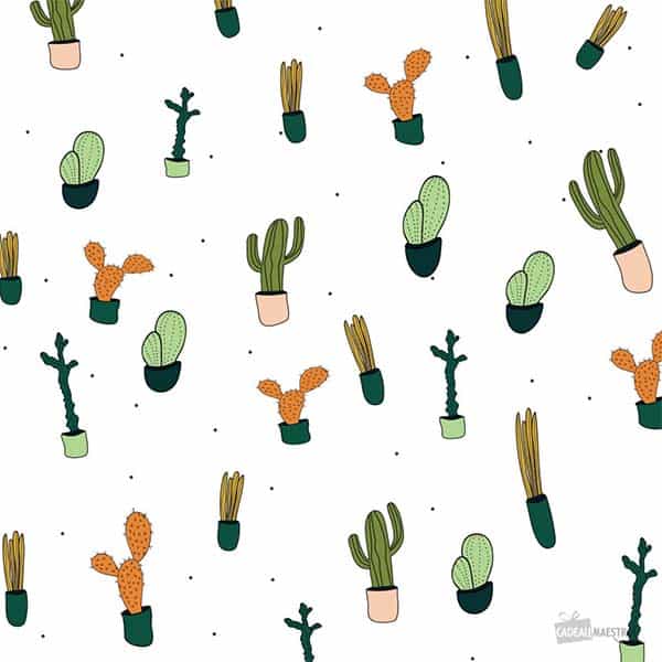 papier cadeau cactus tendance