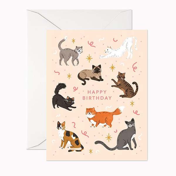 Lot de 10: Carte d'anniversaire chat meowppy anniversaire