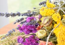 Le langage des fleurs : une source d’inspiration pour vos créations florales
